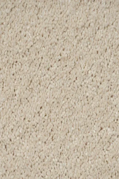 Latte 36 Orion Carpet image 3