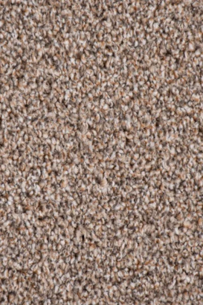 Elegant light brown twist carpet