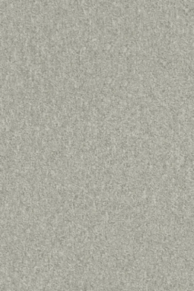 Light Grey Color Sense Carpet image 1