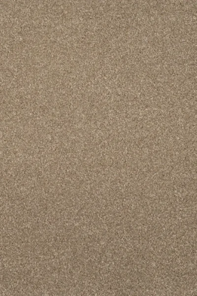 Mink Brown Moxie Saxony Carpet image 2