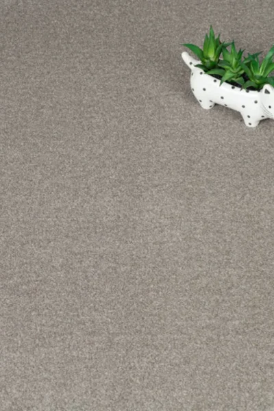 Mocca 45 iSense Obsession Carpet