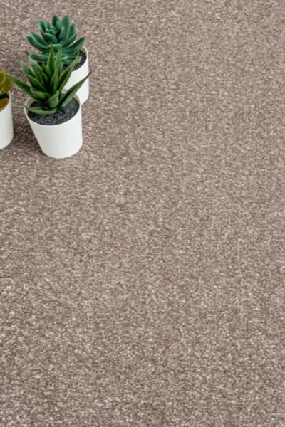 Mushroom 41 Promenade Carpet