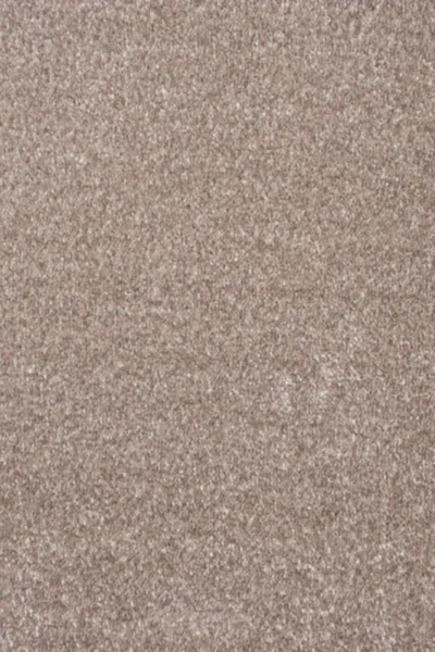 Mushroom 41 Promenade Carpet image 2