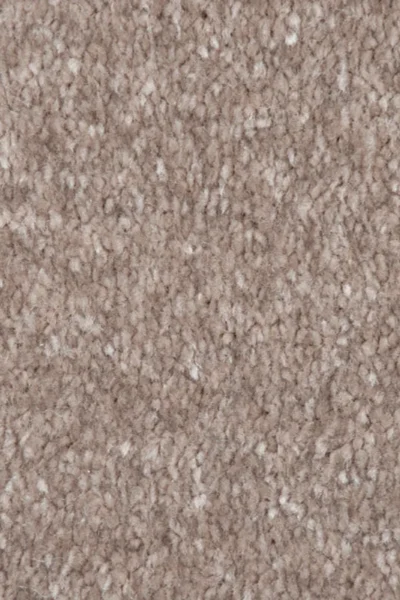 Mushroom 41 Promenade Carpet image 3
