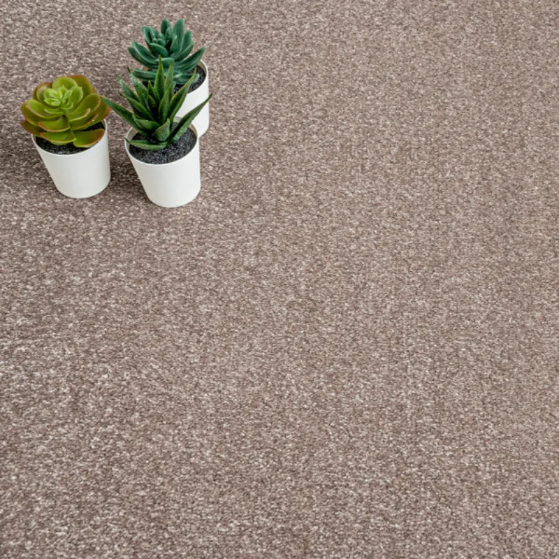 Mushroom 41 Promenade Carpet
