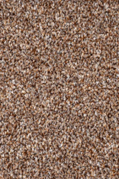 Nutmeg Harvest Heathers Carpet image 3