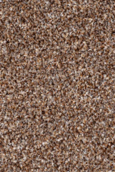 Nutmeg Stainaway Carpet image 3