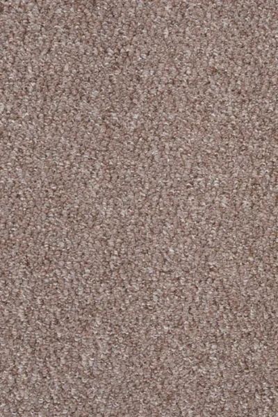 Elegant oak tone loop carpet