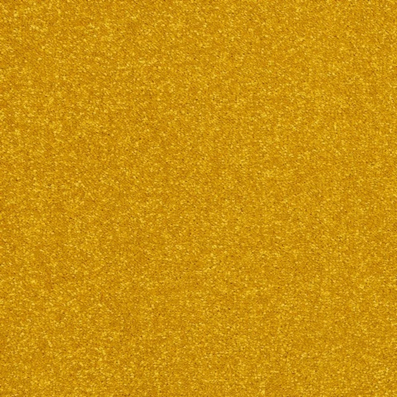 Old Gold Stainfree Caress Carpet