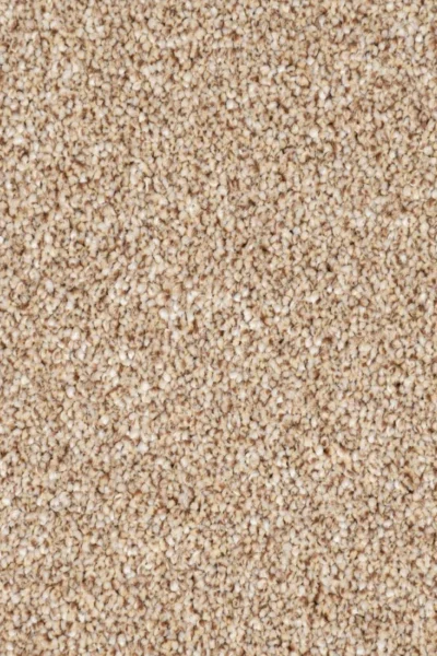 Palm Sugar Trinity Carpet image 3