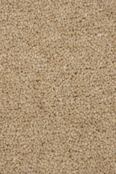 Pembroke Twist Camel Carpet image 3