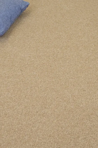 Pembroke Twist Wood Ash Carpet