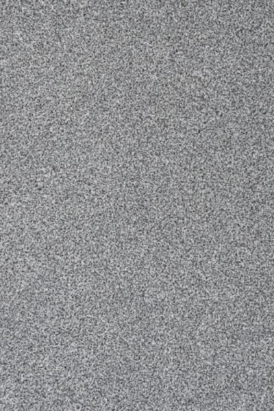 Pewter Grey Pisa Saxony Carpet image 2
