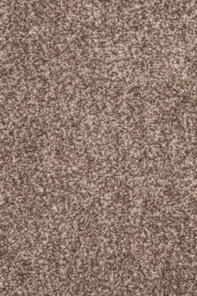 Pheasant Ignis Carpet Clearance