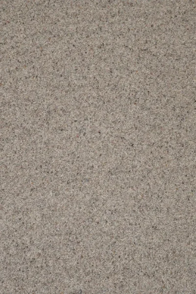 Platinum Natural Twist Carpet image 2