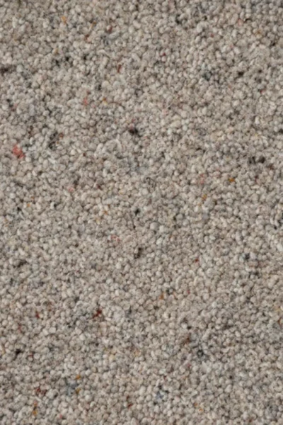 Platinum Natural Twist Carpet image 3
