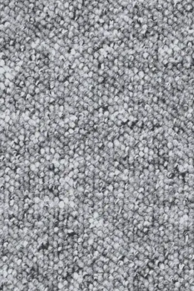 Platinum Utah Loop Carpet Texture