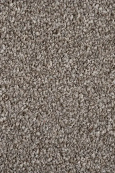 Elegant chocolate brown twist carpet