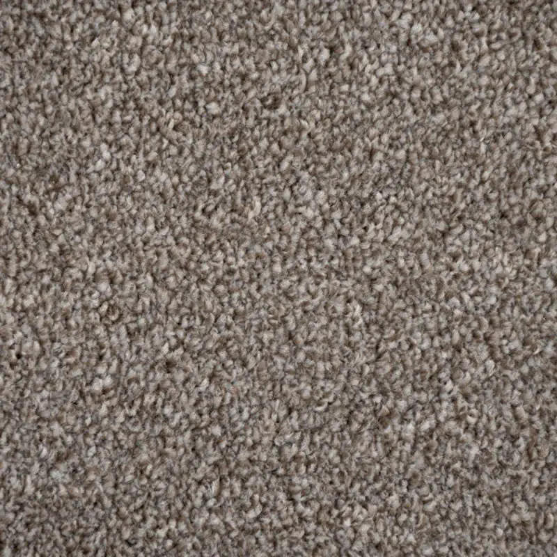 Elegant chocolate brown twist carpet