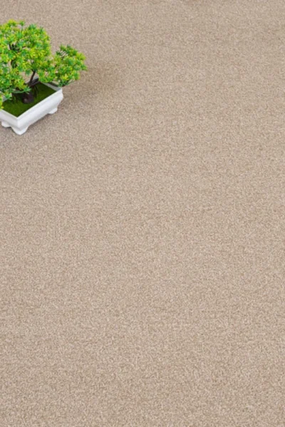 Sandstone 72 Birma Saxony Carpet