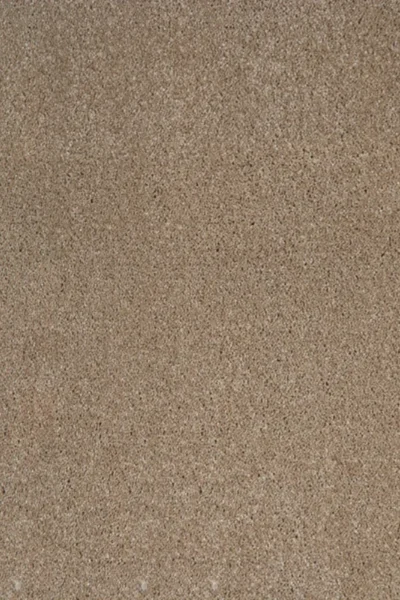 Sandy Beach Orion Carpet image 2