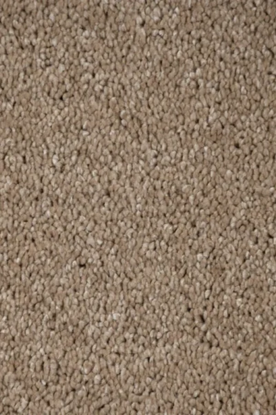 Sandy Beach Orion Carpet image 3