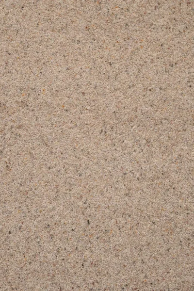 Seed Natural Twist Carpet image 2