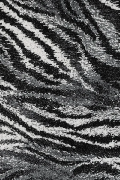 Siberian Tiger T178 Animal Print Carpet image 3