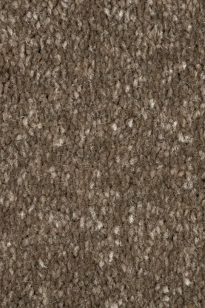 Silt 45 Promenade Carpet image 3