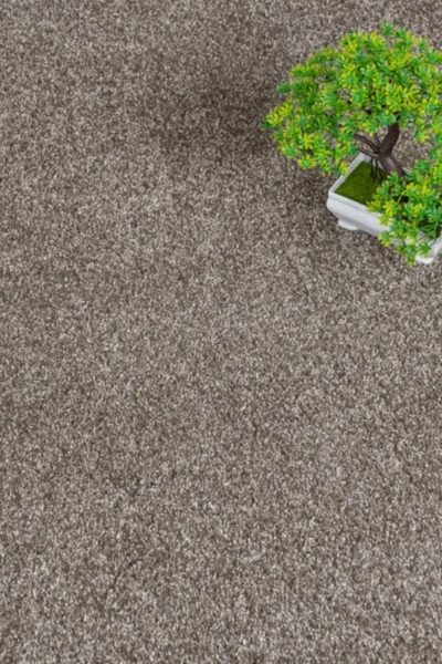 Silt 46 iSense Serenity Carpet