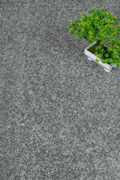 Slate 95 Magnificus Carpet