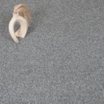 Slate Grey Harvest Carpet