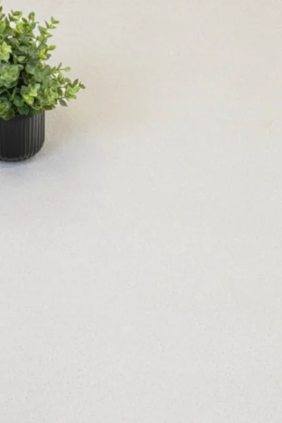 Snow White Moxie Saxony Carpet