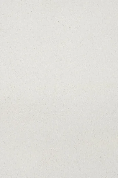 Snow White Moxie Saxony Carpet image 2