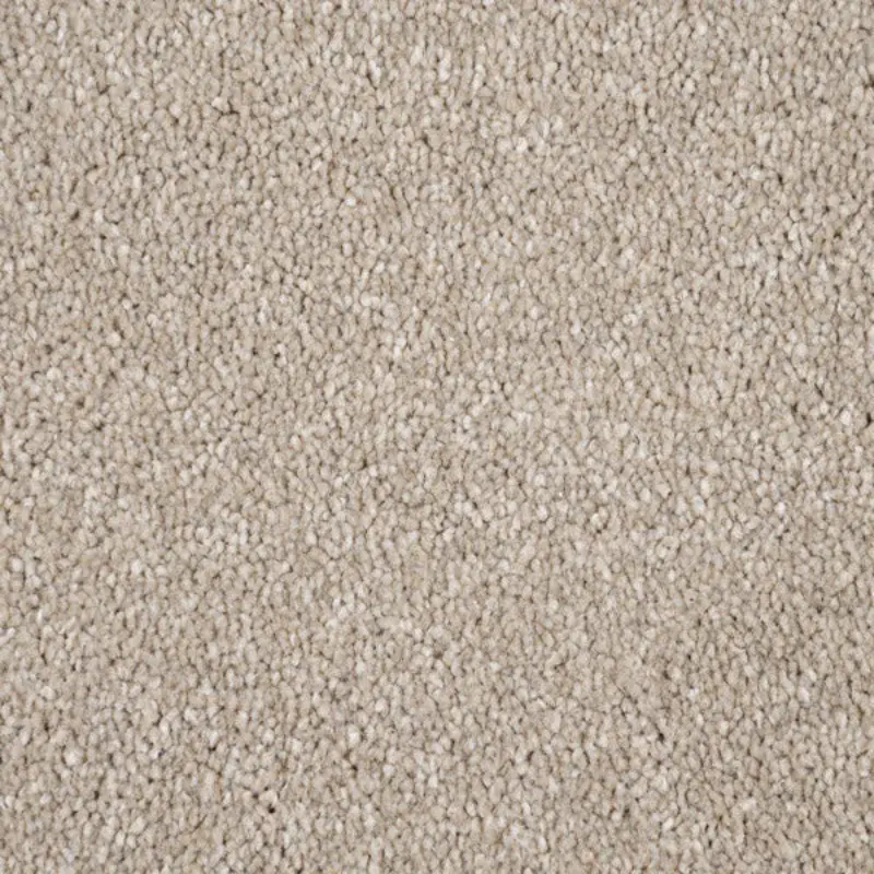 Pebble Beige carpet in room