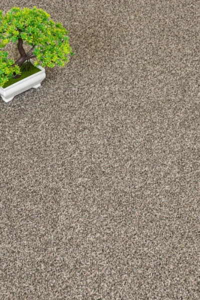 Stone Stainaway Carpet