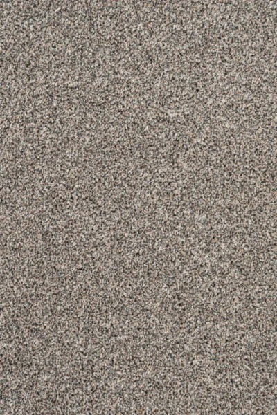 Stone Stainaway Carpet image 2