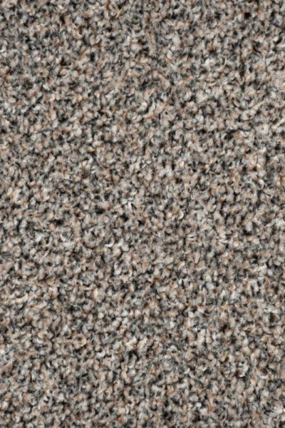 Stone Stainaway Carpet image 3