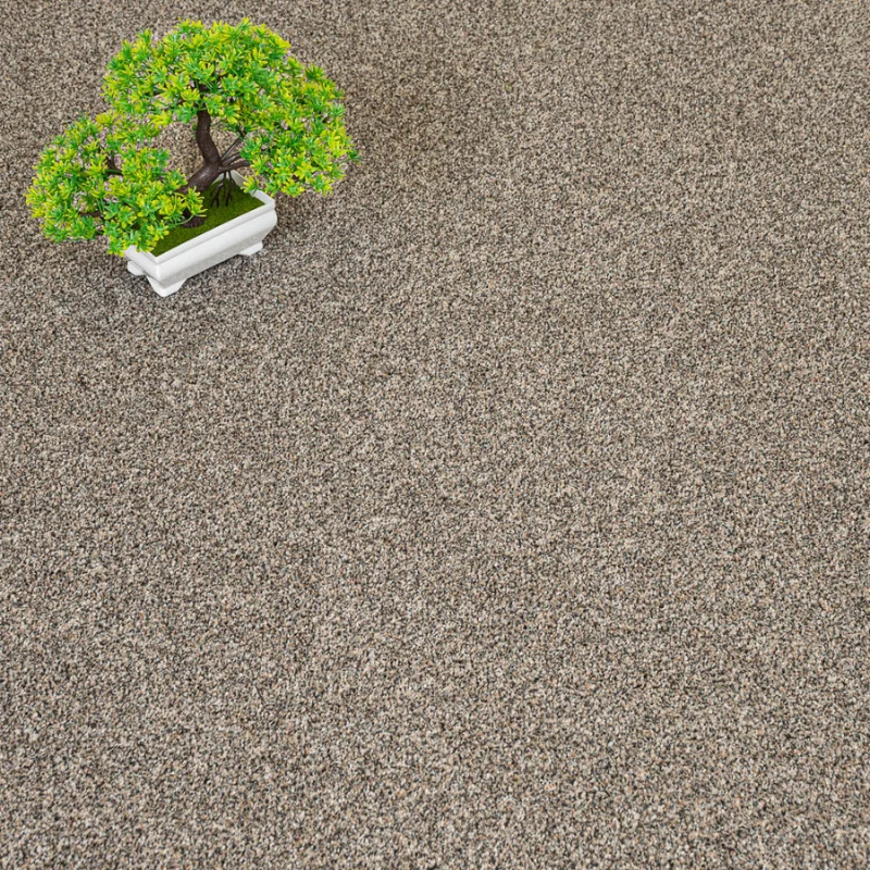 Stone Stainaway Carpet