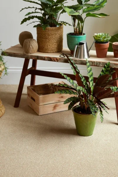 Summer Meadow Linwood Twist Carpet