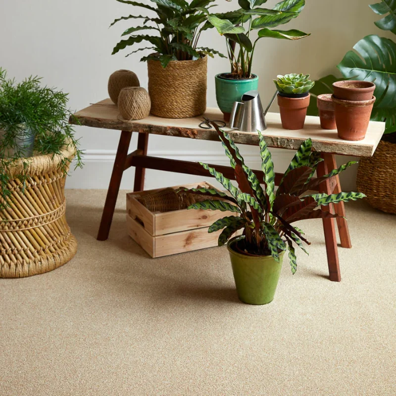Summer Meadow Linwood Twist Carpet