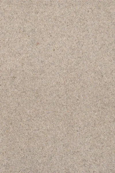 Taupe Riverside Twist Carpet image 2