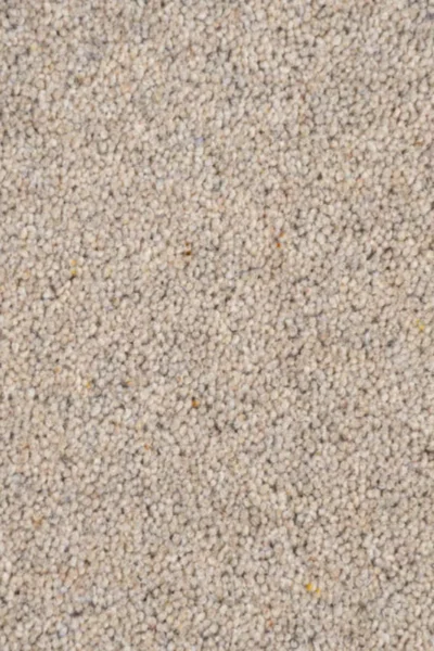 Taupe Riverside Twist Carpet image 3