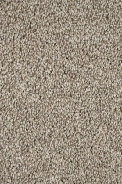 Truffle Romance Love Carpet image 3