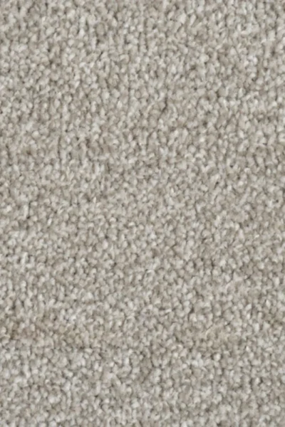 Warm Grey 90 Alps Twist Carpet image 3