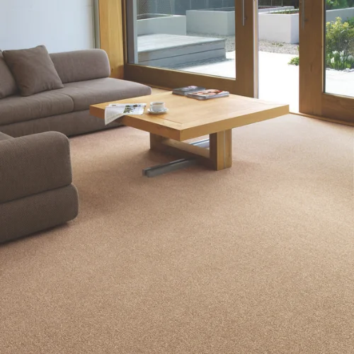 beige and grey carpet​