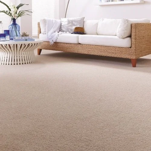 beige carpet bedroom​
