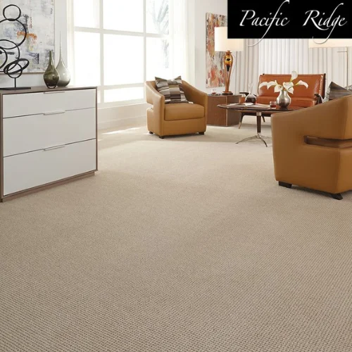 beige carpet design​