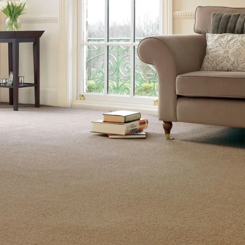 beige carpet living room​