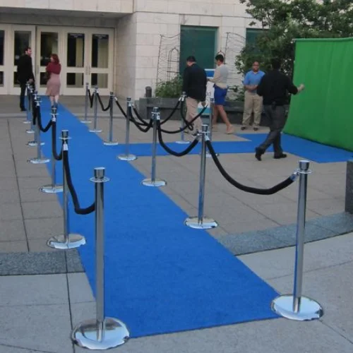 blue shag carpet